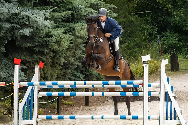 Reitsportanlage Heidehof