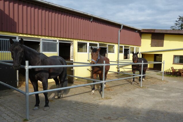 Reitsportanlage Heidehof