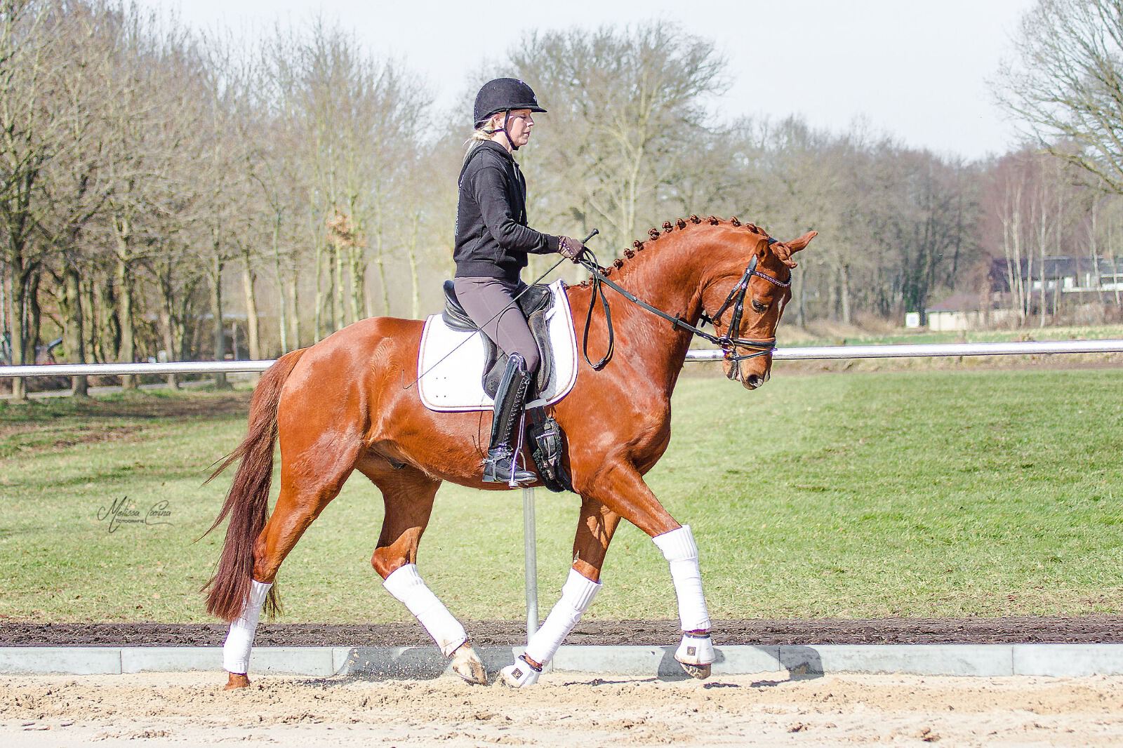 Sportpferde Noss Anlage